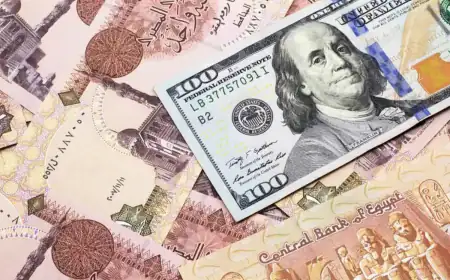 استقرار سعر الدولار في البنوك المصرية اليوم 28 يونيو 2026