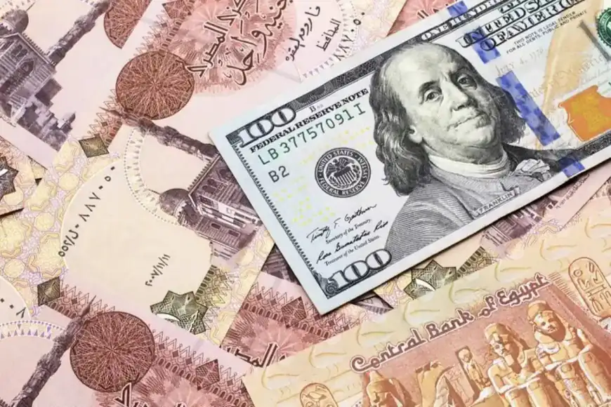 استقرار سعر الدولار في البنوك المصرية اليوم 28 يونيو 2026
