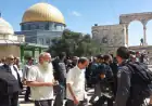 الوصاية الهاشمية على المقدسات في مواجهة اختبار صعب