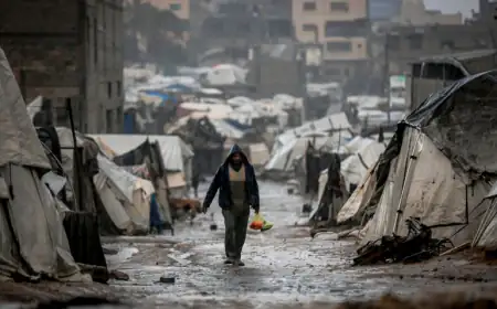 أزمة إنسانية غزة: 800 ألف نازح في خيام متهالكة و60% من الأطفال محرومون من التعليم