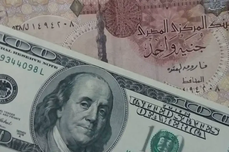 تأثير سعر الدولار يشتد على الأسر المصرية بعد تخطي 52 جنيهًا