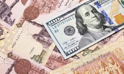 أزمة الجنيه المصري تتفاقم مع قفزة الدولار إلى 52 جنيها